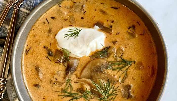 Recipe Hungarian Mushroom Soup A Culinary Journey