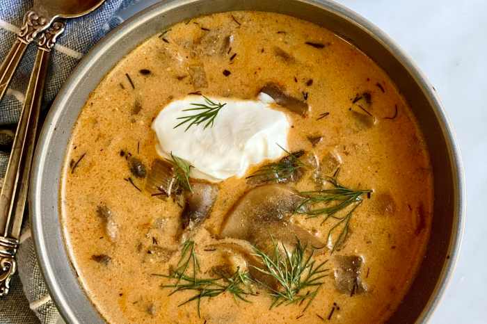 Recipe hungarian mushroom soup