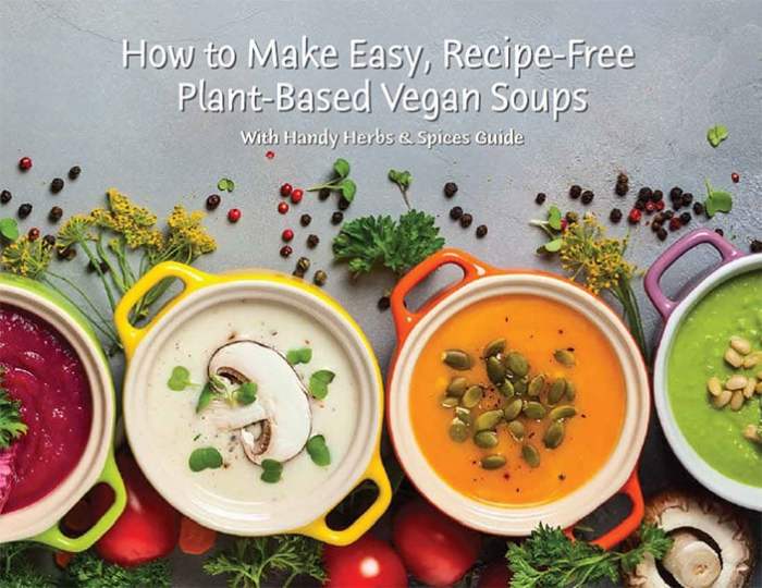 Plant based diet soup recipes